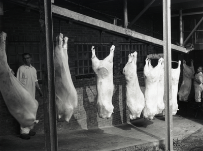 168424 Afbeelding van het beladen van koelwagens van Interfrigo met vlees bij exportslachterij Fa. De Haas ...